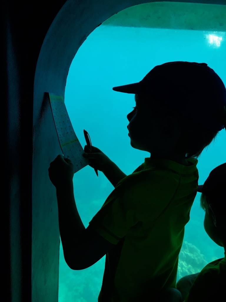 Family travel benefits learning about marine life in the submarine in the Red Sea