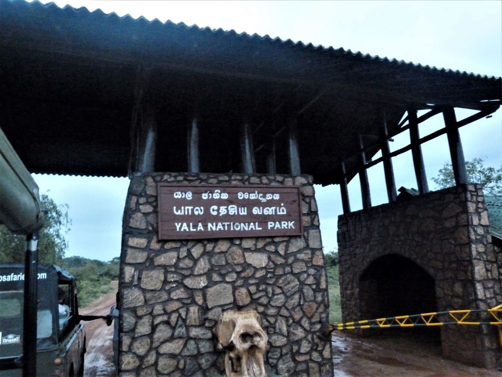 Excitement building at Palatupana entrance gate at 6am