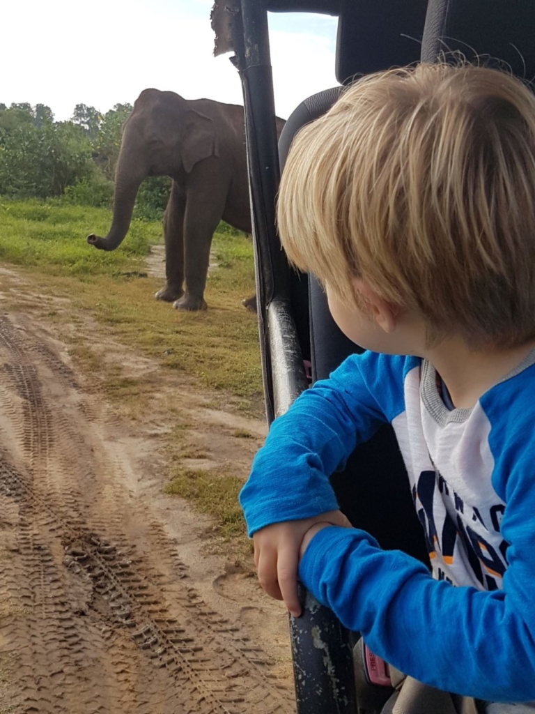 Elephant spotting in Udawalawe