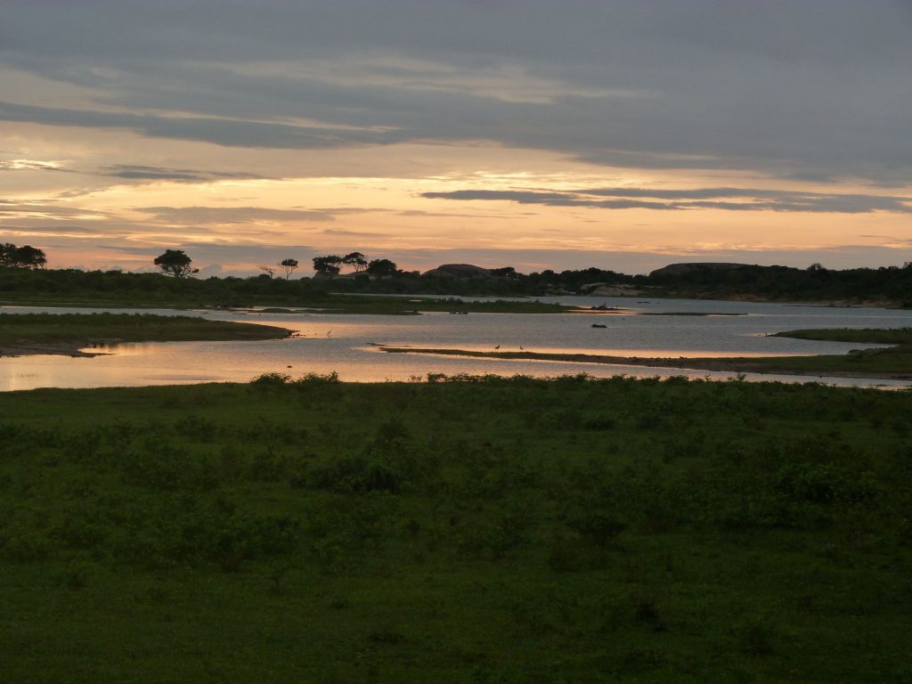 Yala National Park at sunrise