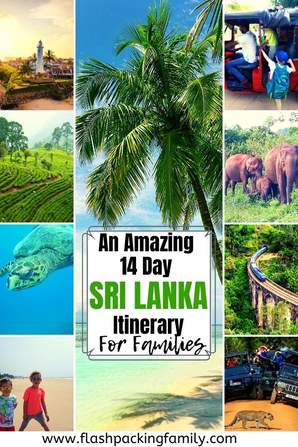 An Amazing 14 Day Sri Lanka itinerary for Families