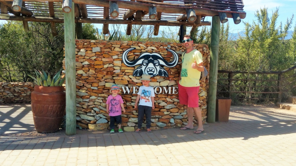 Family-friendly safaris in South Africa at Buffelsdrift Game Lodge
