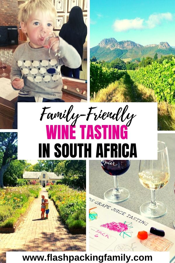 Family Friendly Wine Tasting in South Africa