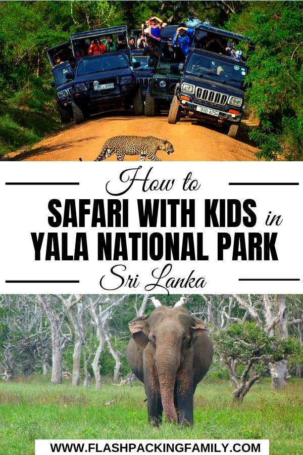 How to Safari with Kids in Yala