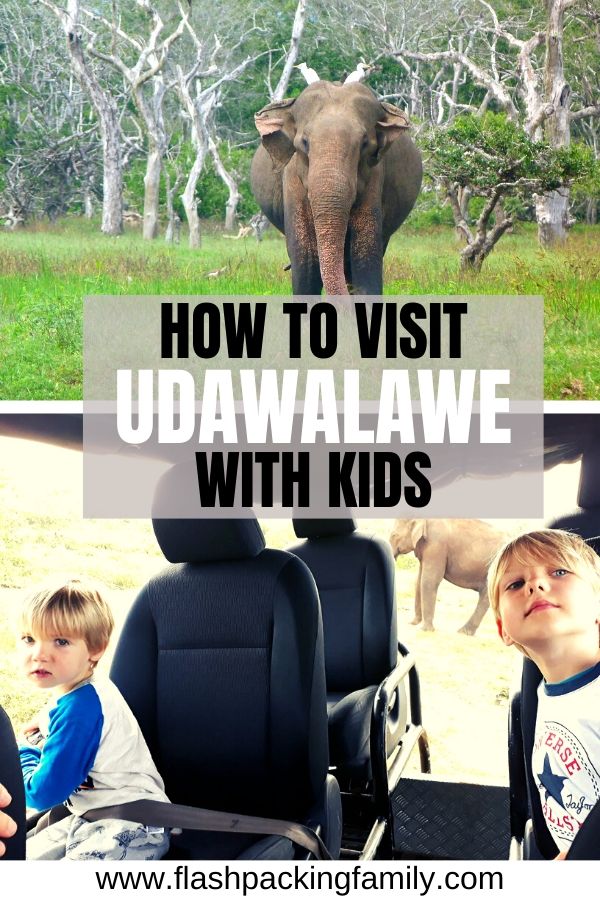 How to visit Udawalawe with kids