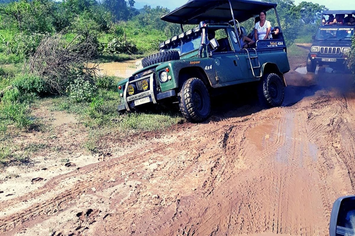 Jeep stuck in the mud at Udawalawe