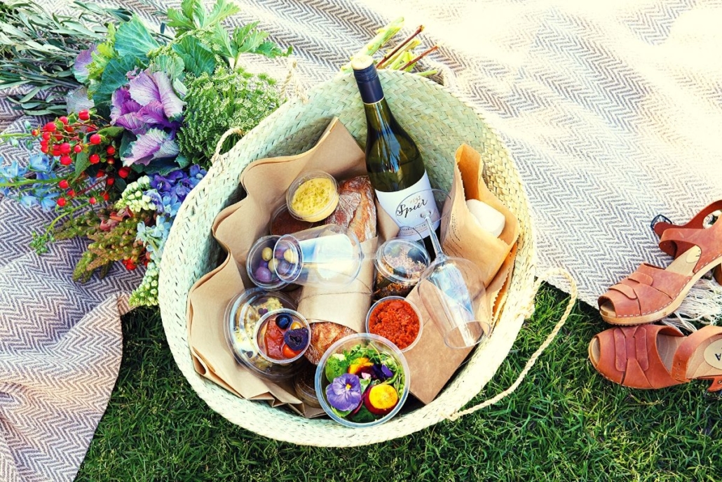 The 6 Best FamilyFriendly South African Wine Estate Picnics
