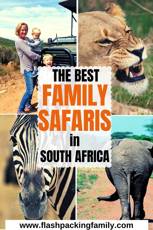 The Best Family Safaris in South Africa