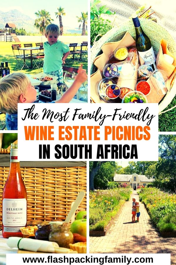 The Most family friendly wine estate picnics in south africa