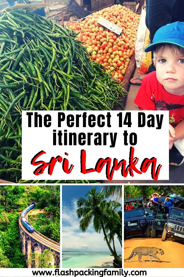 The Perfect 14-Day Sri Lanka Family Friendly Itinerary 2