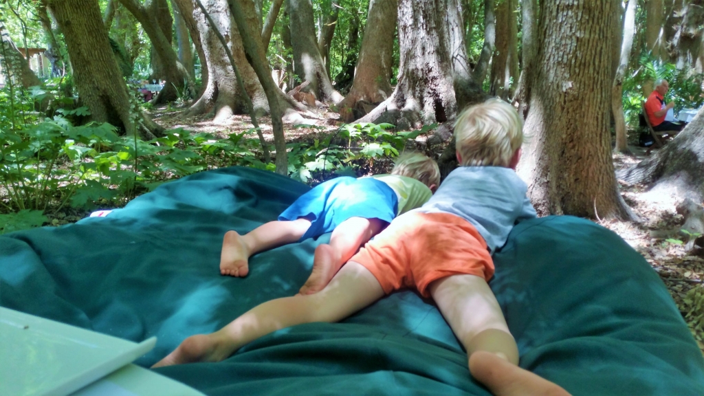 The boys enjoying their beanbag seating at the Vergelegen picnic