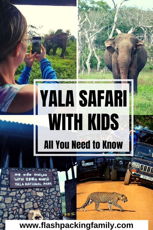 Yala Safari with Kids all you need to know