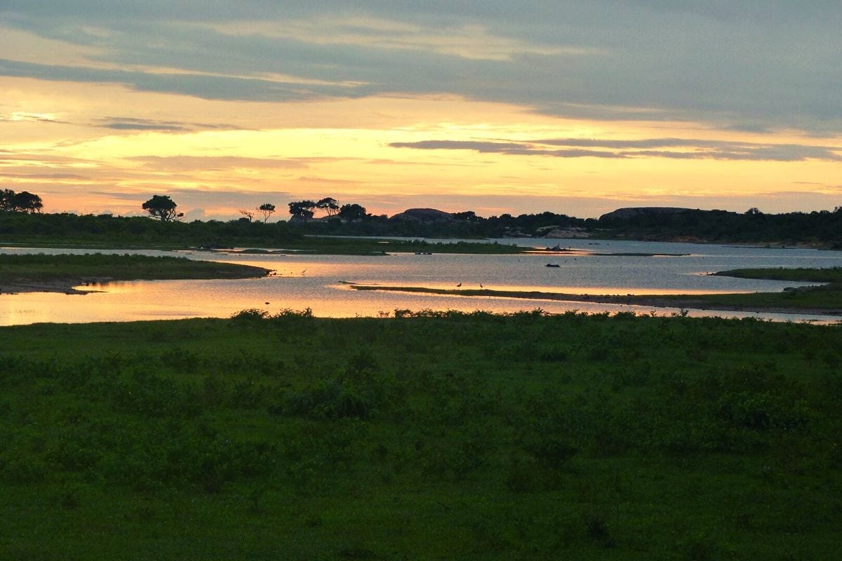 Yala National Park at sunrise