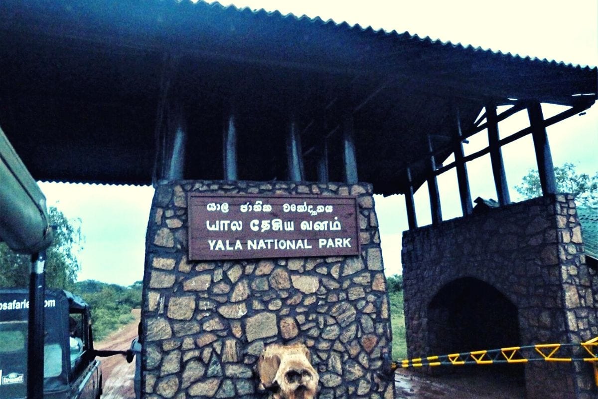 Yala National Park entrance gate