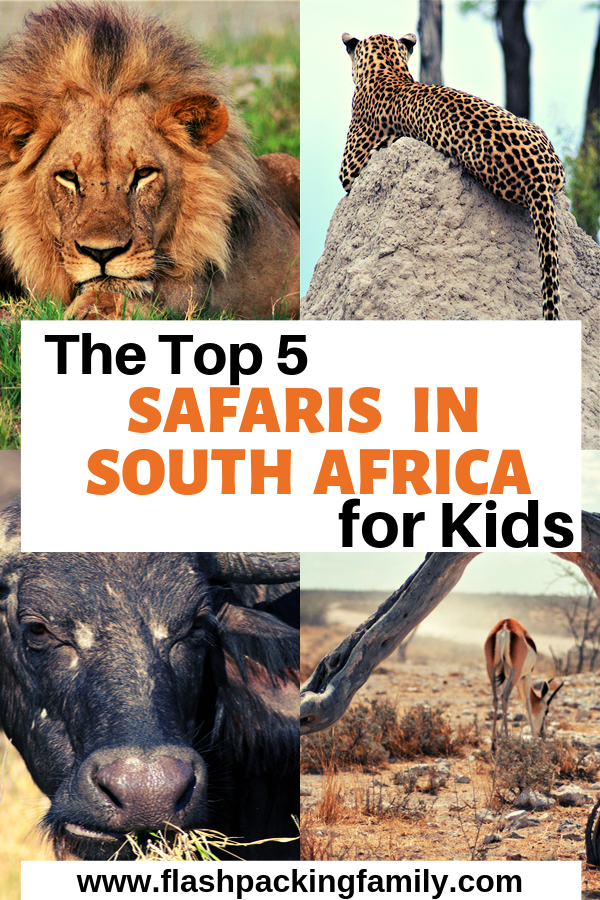 family-friendly south african safaris