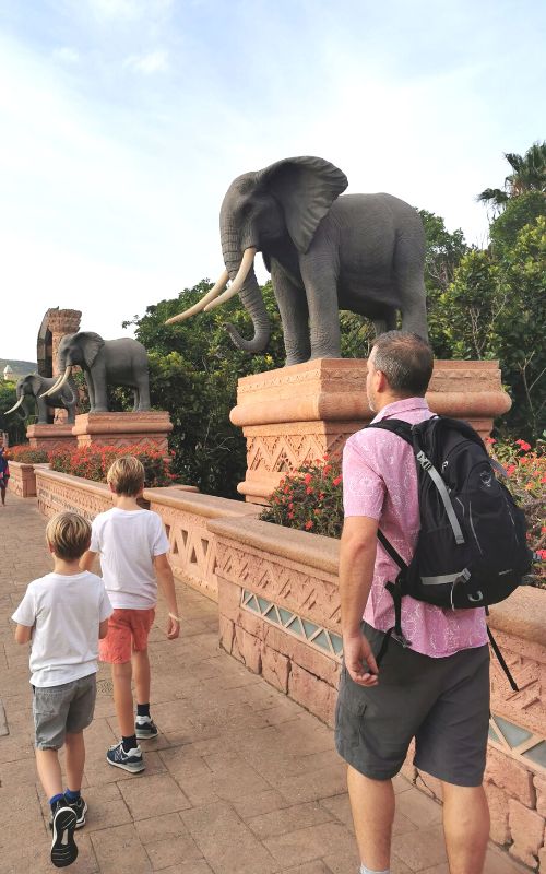 Family walking past elephants at Sun City with dad wearing an Osprey Hikelite 26.