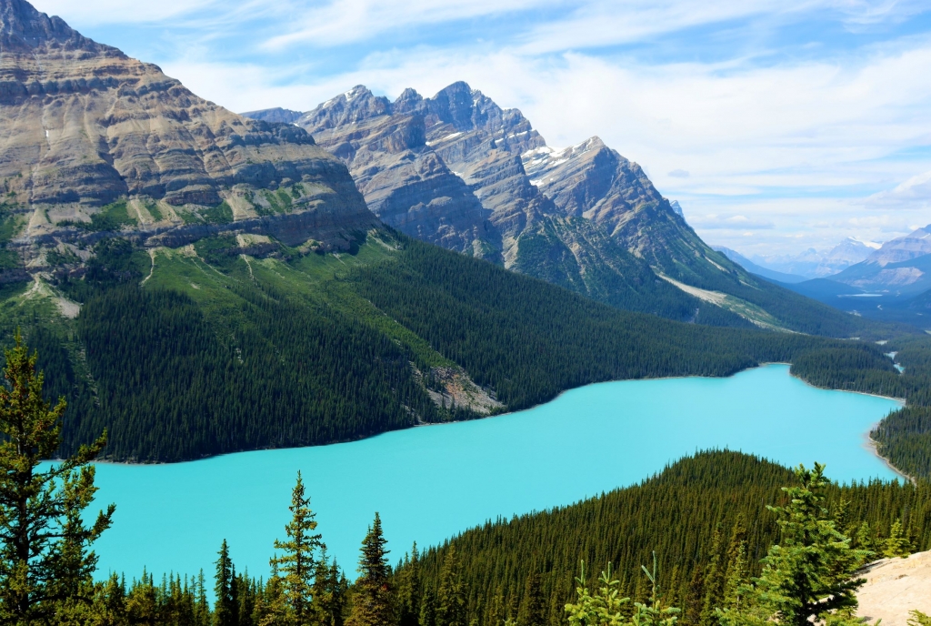The best things to do in Banff with kids 9 View of Peyto Lake from the viewing platform
