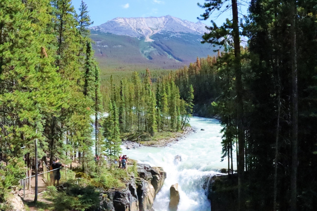 Looking out over Sunwapta Falls in Jasper National Park