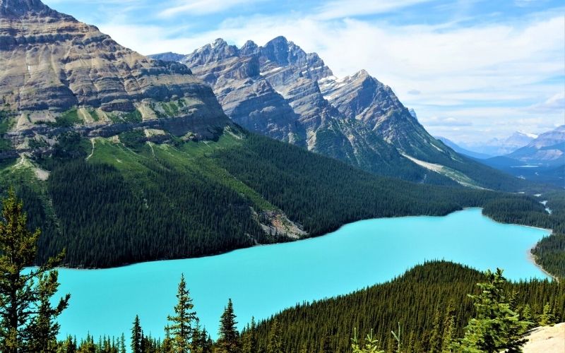 Peyto Lake in Banff National Park.