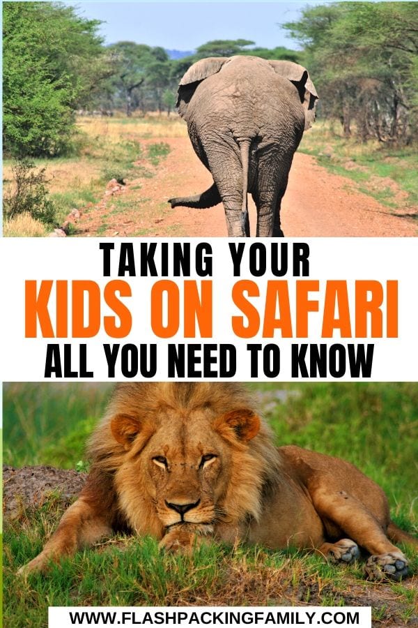 Taking your kids on safari all you need to know