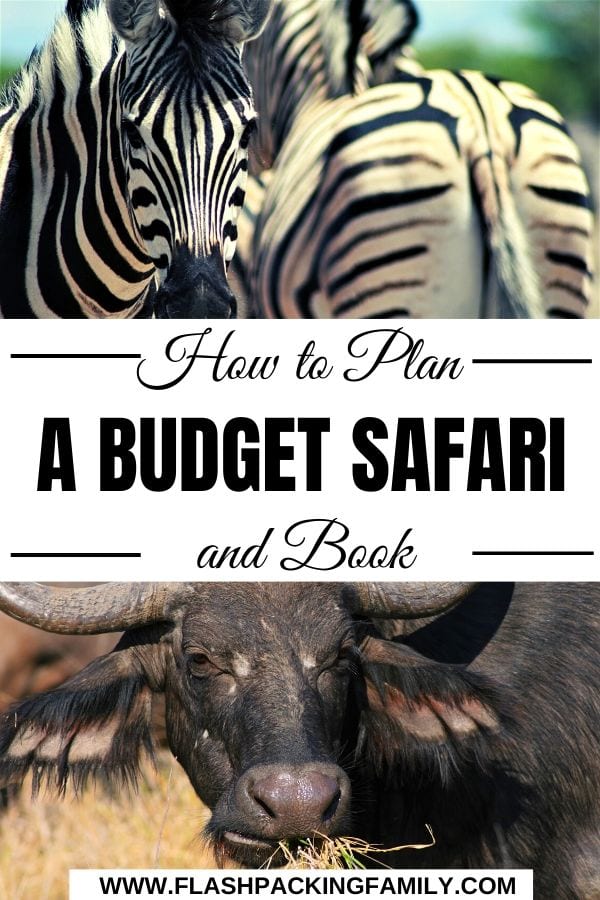 how to plan and book a budget safari