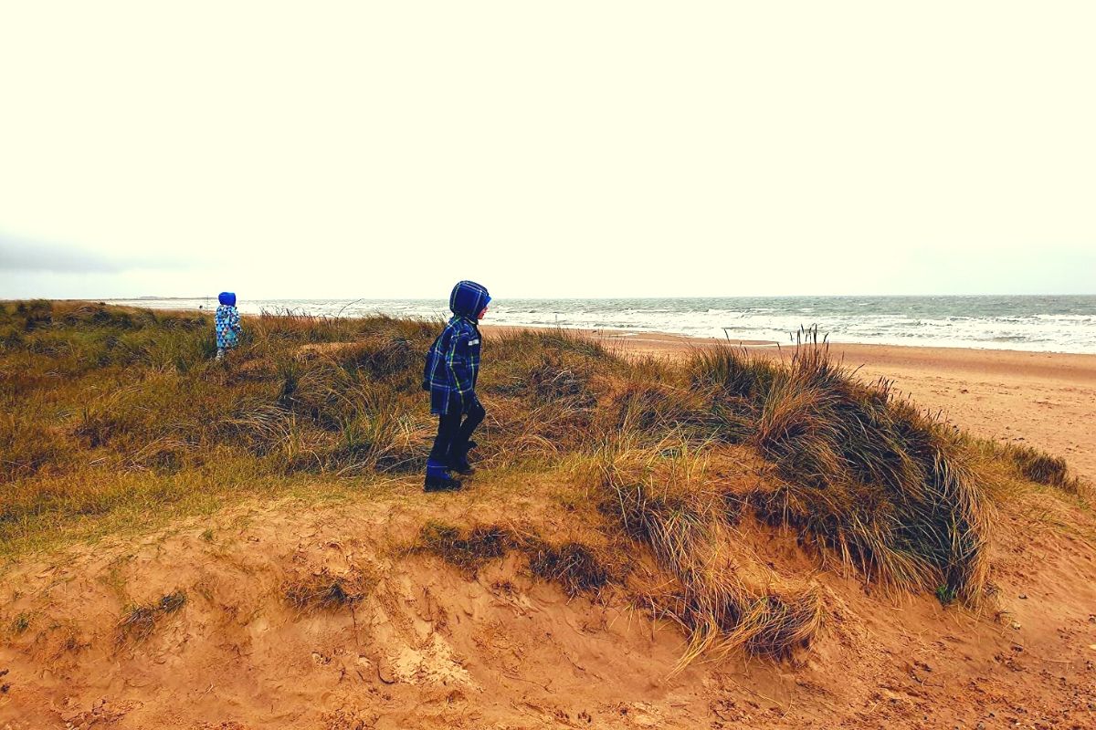 Sand dunes at Brancaster Beach in North Norfolk