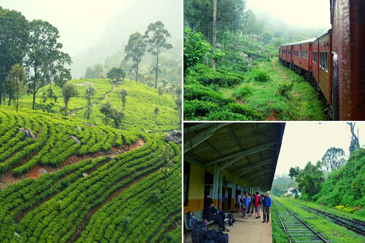 Taking the Ella to Kandy train