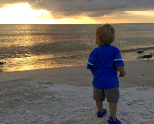 Birdwatching on Anna Maria Island beach at sunset