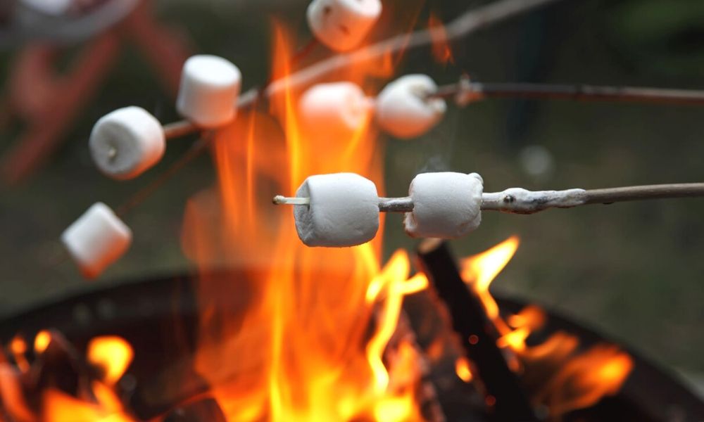 Roasting marshmallows over a campfire