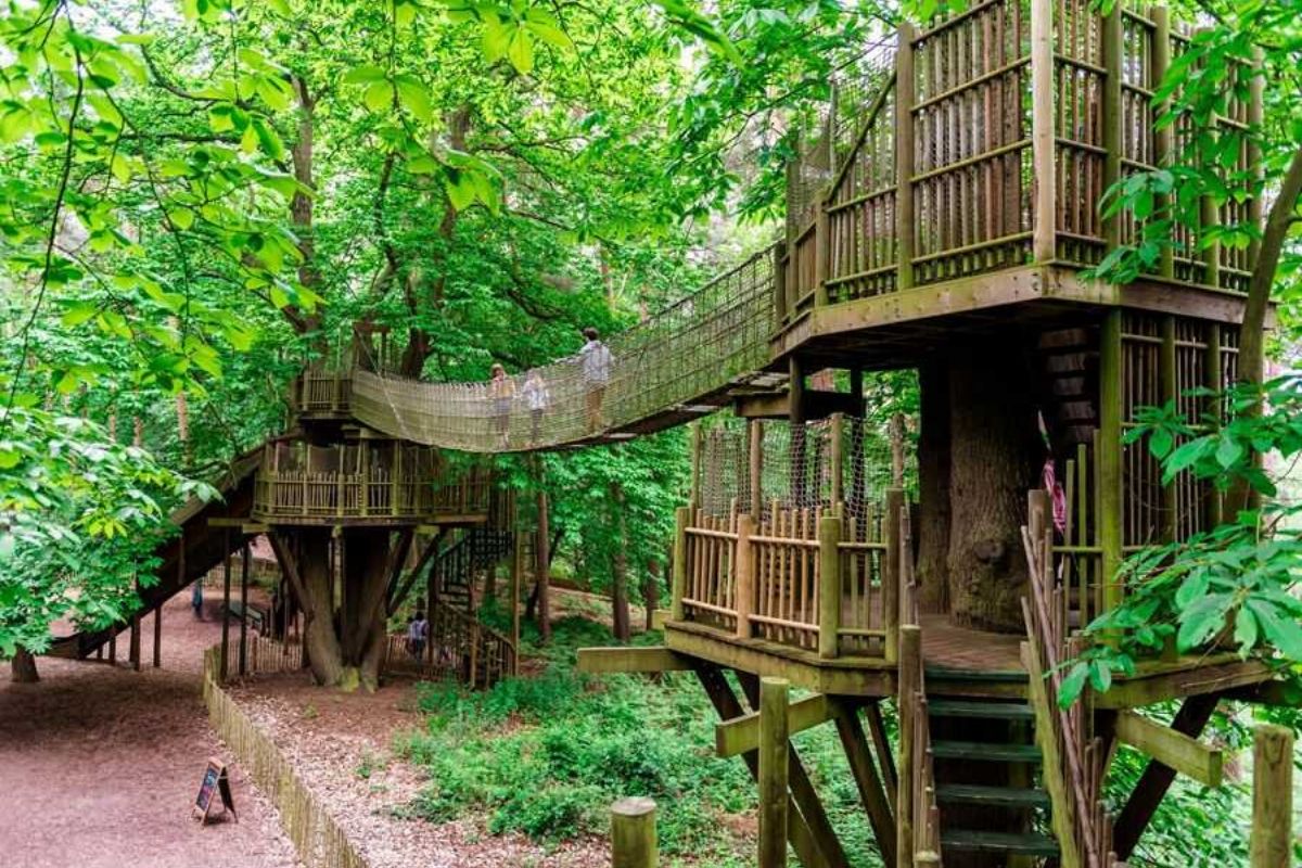 The Sky Maze in BeWILDerwood