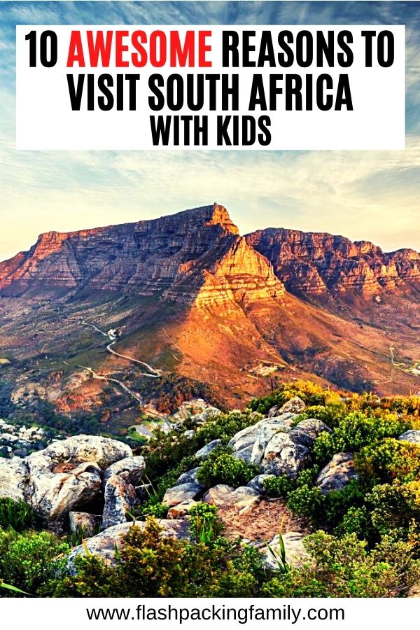10 Awesome Reasons to Visit South Africa with Kids 