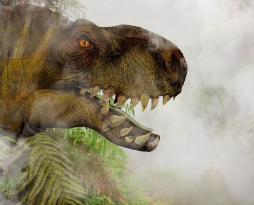 Spotting T Rex at dinosaur parks in the UK