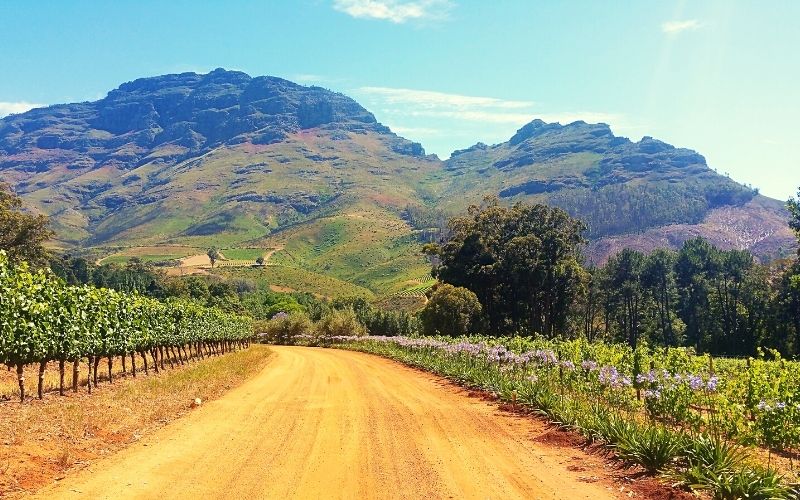 The Cape Winelands in South Africa