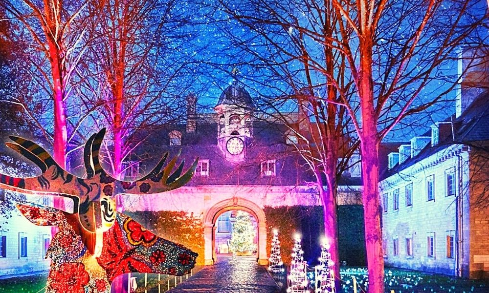 Belton House Christmas light trails