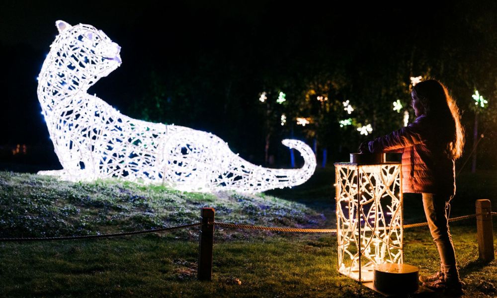 Illuminated otter on the Christmas light trail at the London Wetland Centre.