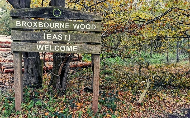 Broxbourne Wood