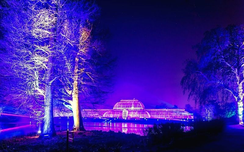 Christmas at Kew