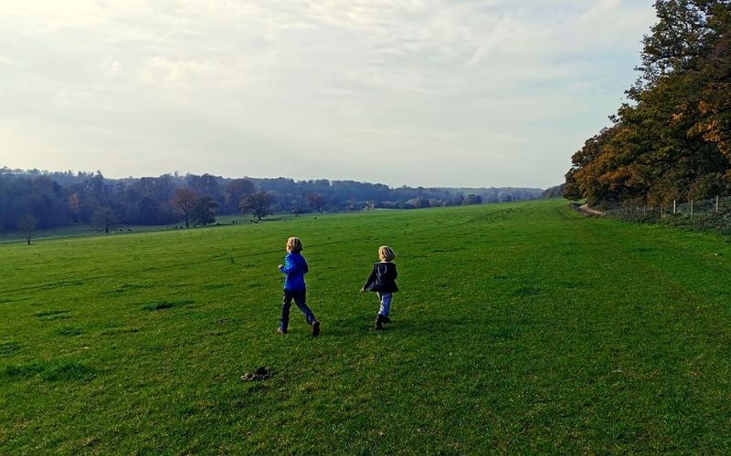 Grassland at Panshanger Park