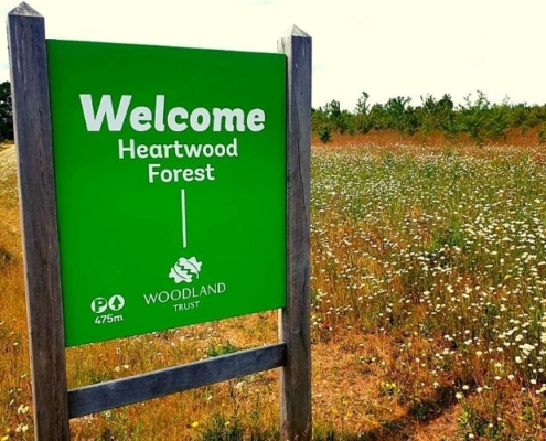 Heartwood Forest