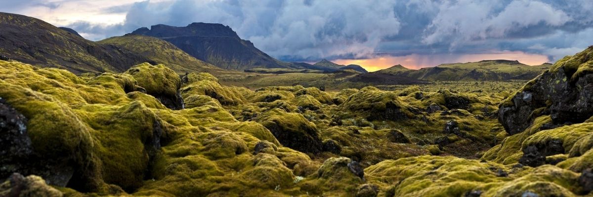 Icelandic scenery