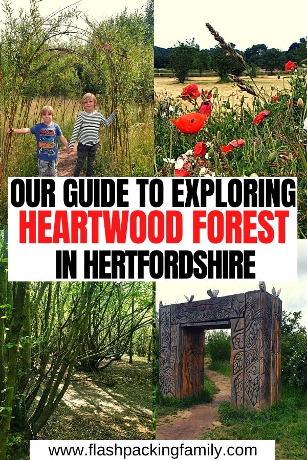 Our Guide to Exploring Heartwood Forest in Hertfordshire