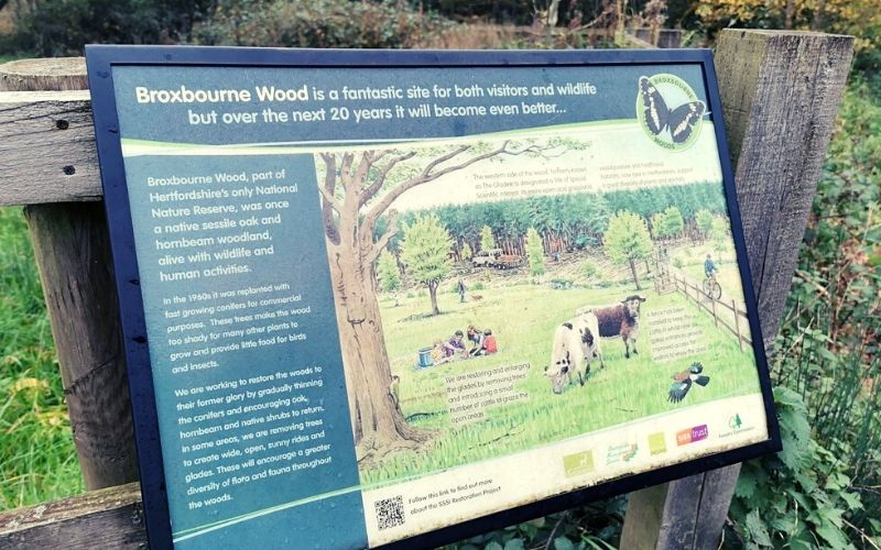 Restoration of Broxbourne Woods