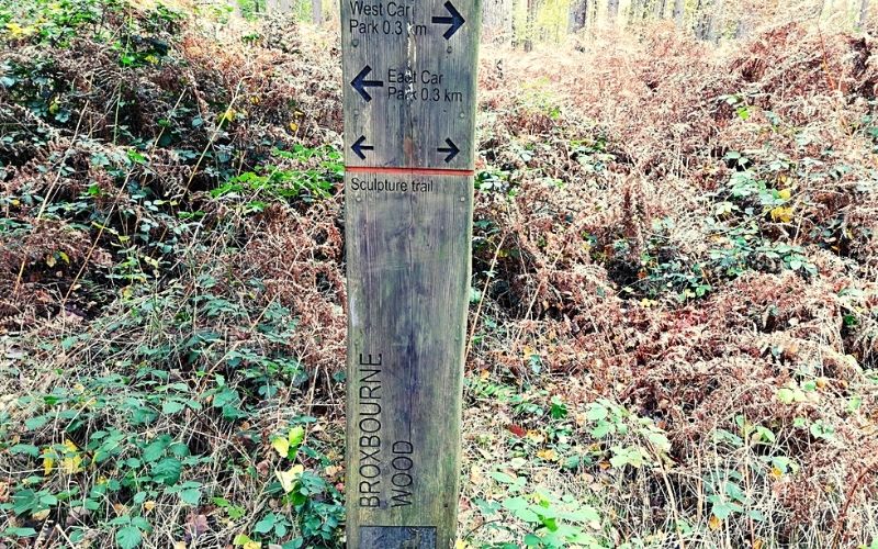 Signposted trails at Broxbourne Woods