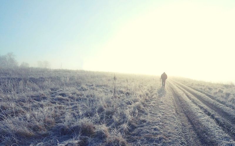 frosty morning walk