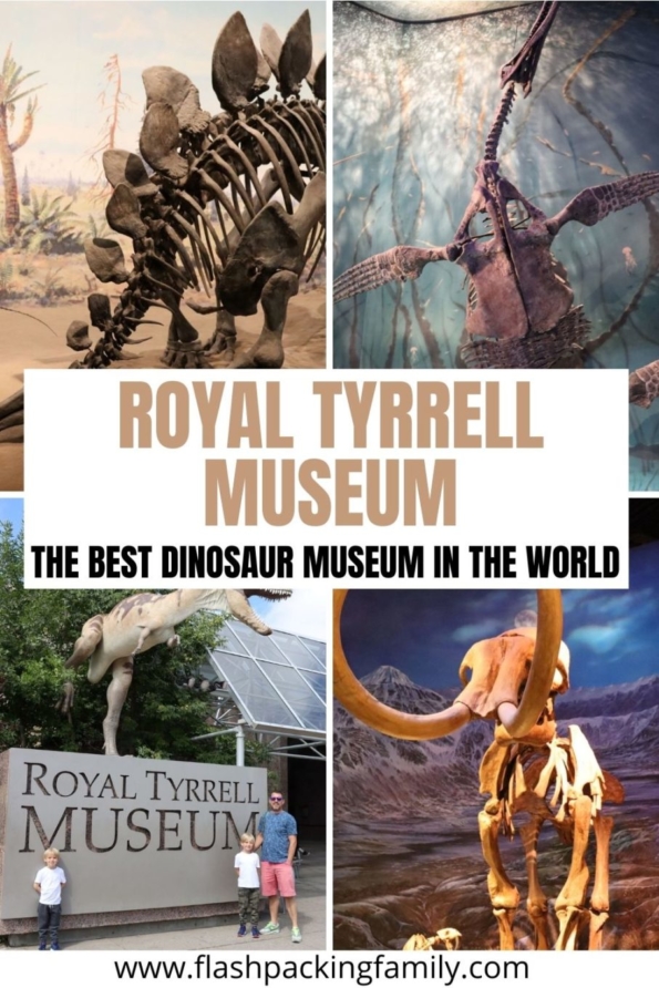 the royal tyrrell museum virtual tour