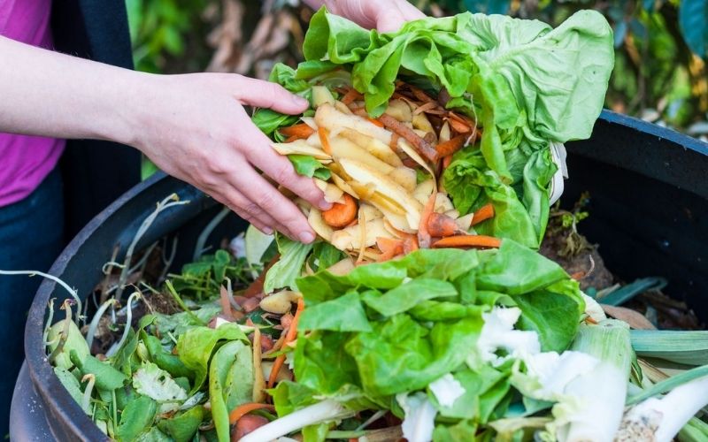 Composting your food waste
