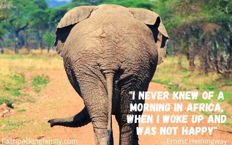 I never knew of a morning in Africa, when I woke up and was not happy