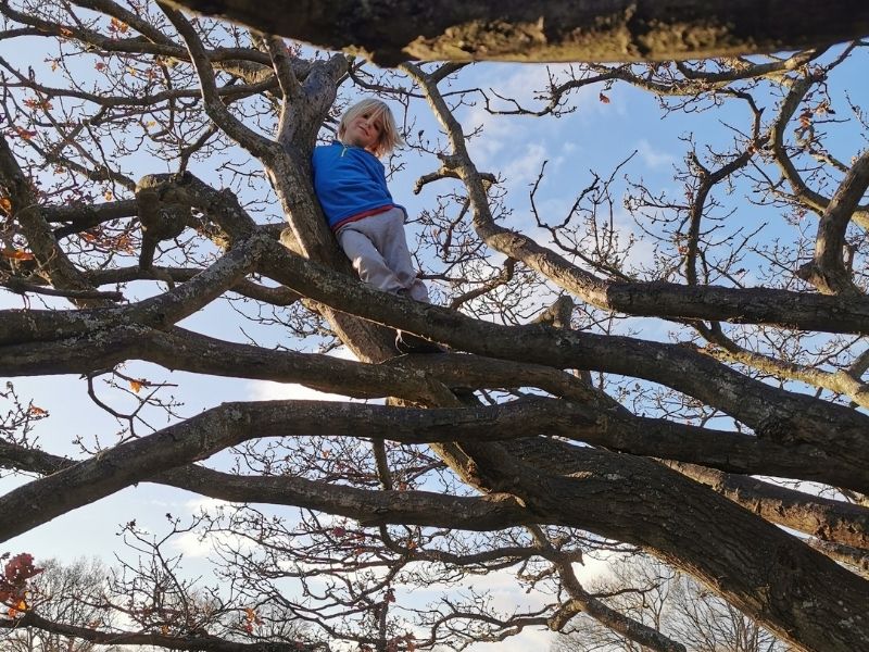 Climbing trees in spring