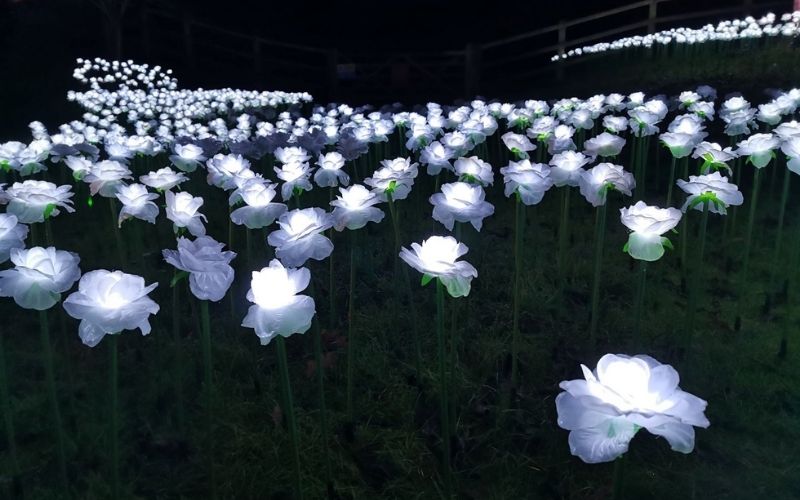 Delicate flower lights at Blenheim Palace.