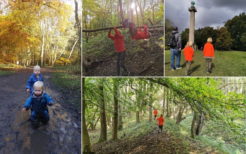 Exploring Ashridge Estate in Hertfordshire.